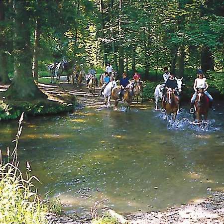 Holiday Homes Im Waldferiendorf - Dmg04101e-fya * רוגן